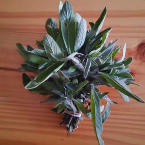 Organic Sage from the Garden Route
